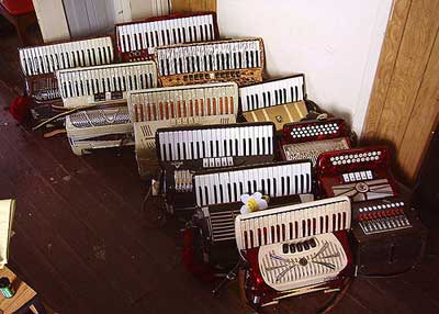 12 accordions